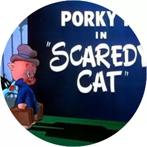 Scaredy Cat photograph