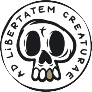 Scavengers Studio - Video game developer