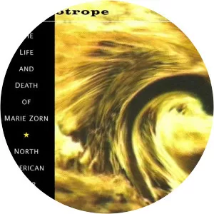 Schizotrope - Musical group