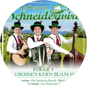 Schneiderwirt Trio