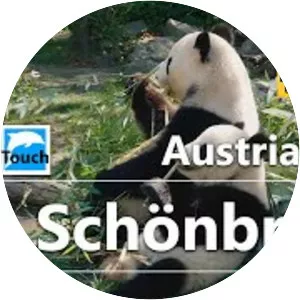 Schönbrunn Zoo