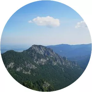 Schönleitenschrofen