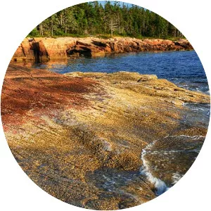 Schoodic Peninsula