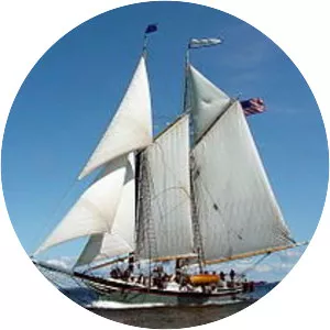 Schooner - Ship type