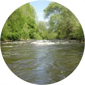 Schussen - Tributary in Germany