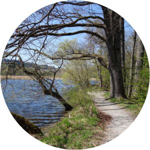 Schwabelsberger Weiher