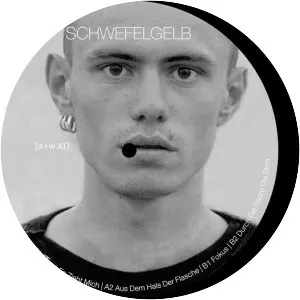 Schwefelgelb - Musical band