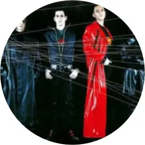 Schwein - Musical group