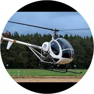 Schweizer 300 - Utility