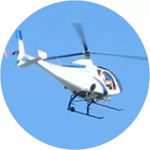 Schweizer S333 - 