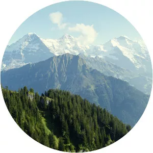 Schynige Platte - Mountain in Switzerland