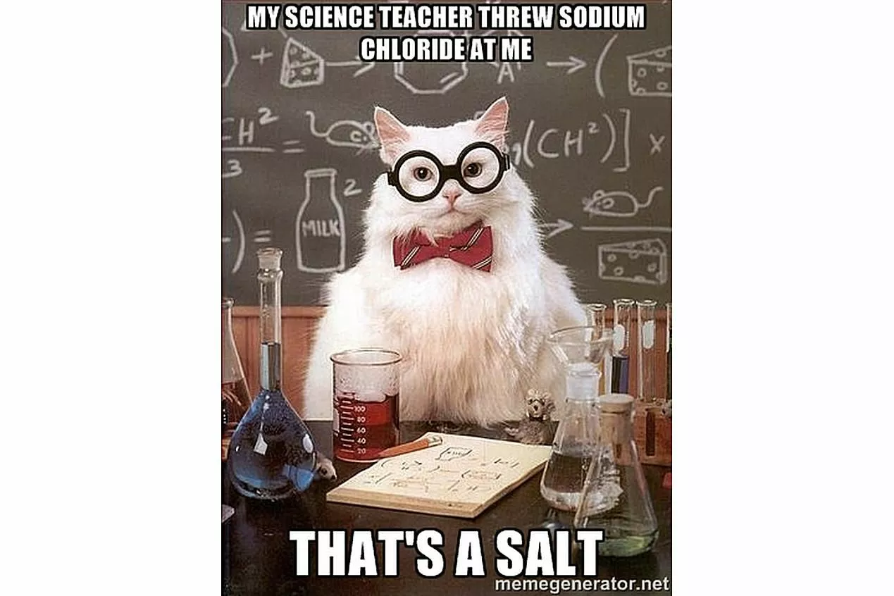 Science Cat - 