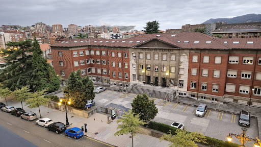 Science Faculty. University of Oviedo