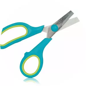 Scissors - Culinary tool