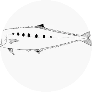 Scomberoides tol