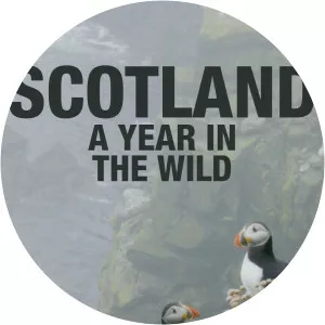 Scotland: A Year in the WildSince 2021
