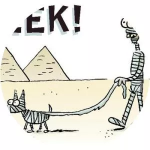 Scott Nickel - Author