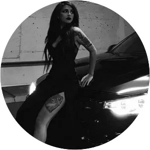 Scott Rill - Musical artist