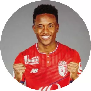 Scotty Sadzoute - French football player