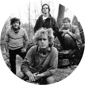 Scratch Acid - Rock band