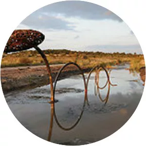 Sculpture in the Parklands