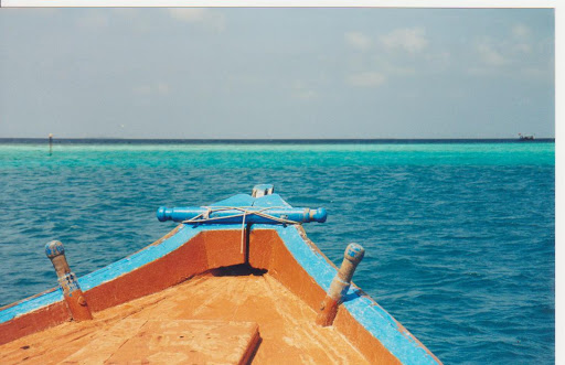 Scuola Coaching /Formazione