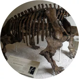 Scutosaurus
