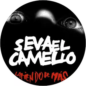 Se va el camello - Musical group