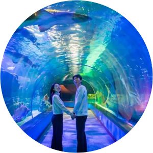 SEA LIFE Busan Aquarium