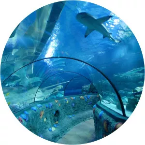 SEA LIFE Centre Benalmadena