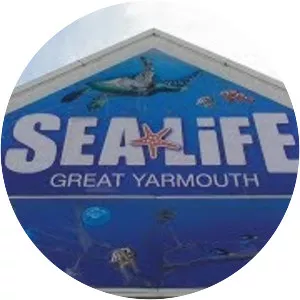 SEA LIFE Great Yarmouth - 