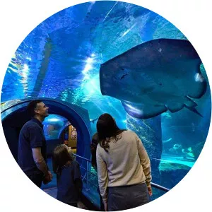 SEA LIFE Melbourne Aquarium