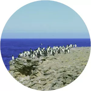 Sea Lion Island - Island in the Falkland Islands