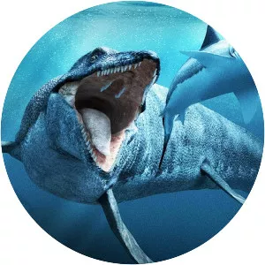 Sea monster photograph