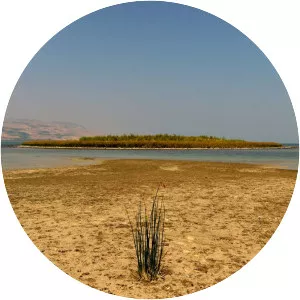 Sea of Galilee - 