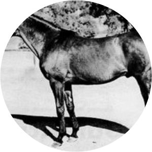 Sea Sovereign photograph