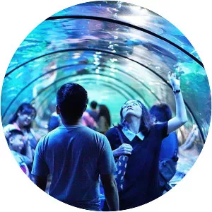 Sea World Jakarta