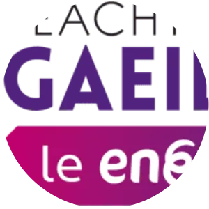 Seachtain na Gaeilge