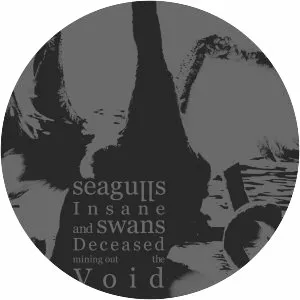 Seagulls Insane and Swans Deceased . . .