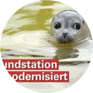 Seal Station Friedrichskoog e. V. - 