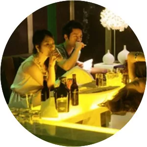 Searching for the Elephant