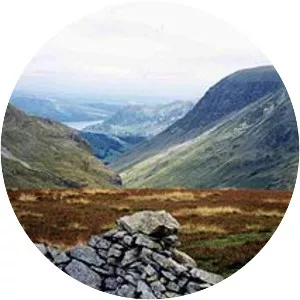 Seat Sandal - 