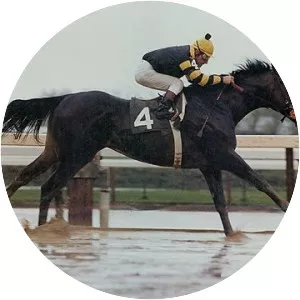 Seattle Slew
