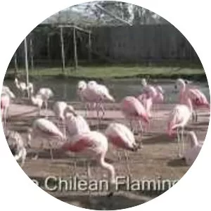 Seaview Wildlife Encounter - 