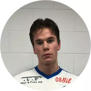 Sebastian Ungman-Backlund