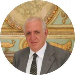 Sebastiano Maffettone - University professor