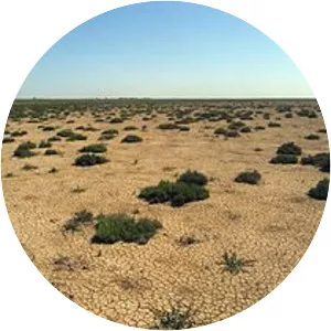 Sebkha Kelbia - Lake in Tunisia