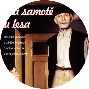 Seclusion Near a Forest