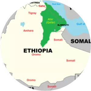 Second Afar insurgency - War