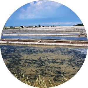 Sečovlje Saltworks - 